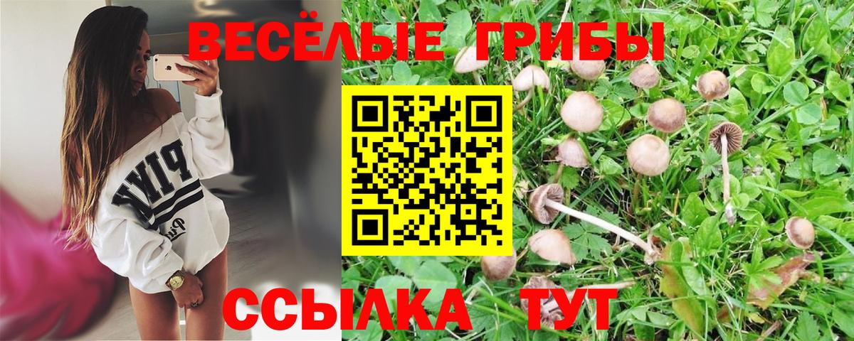 Галлюциногенные грибы мицелий  Вход с VPN  Лесосибирск 